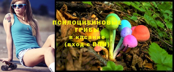 МДПВ Навашино