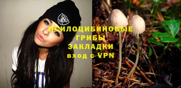 a pvp Надым