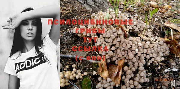 наркотики Алексин