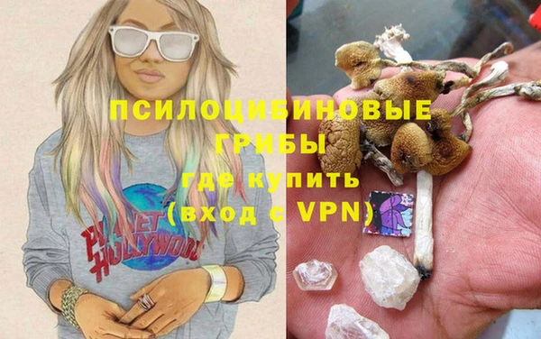 a pvp Надым