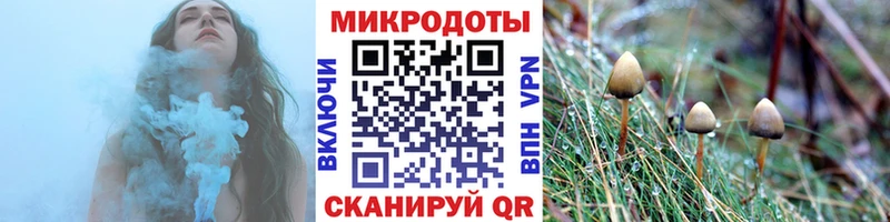 где купить наркоту  Темников  Псилоцибиновые грибы Psilocybe 